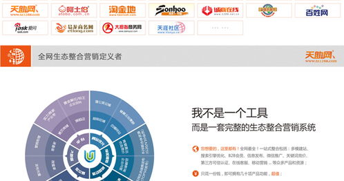 全链路赋能 广州琛鑫全网营销助力增城企业网络推广与网站服务升级